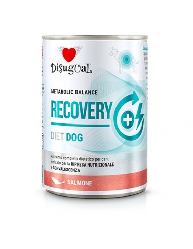 Disugual Diet Perro Recovery Salmon