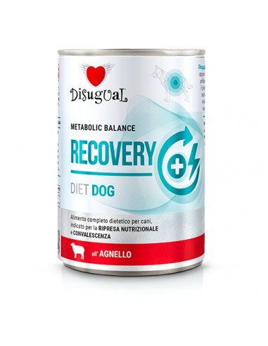 Disugual Diet Perro Recovery Cordero