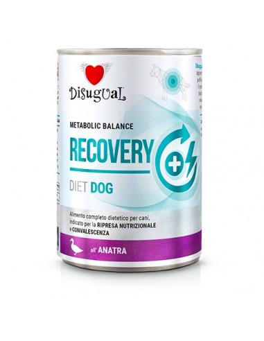 Disugual Diet Perro Recovery Pato