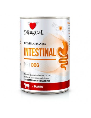 Disugual Diet Perro Intestinal Ternera