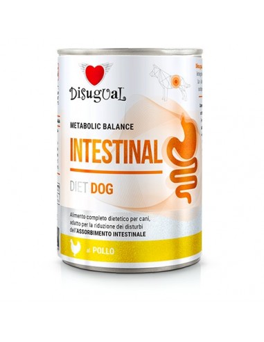 Disugual Diet Perro Intestinal Pollo