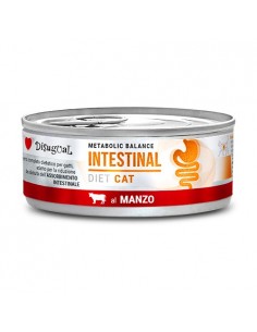 Disugual Diet Gato...