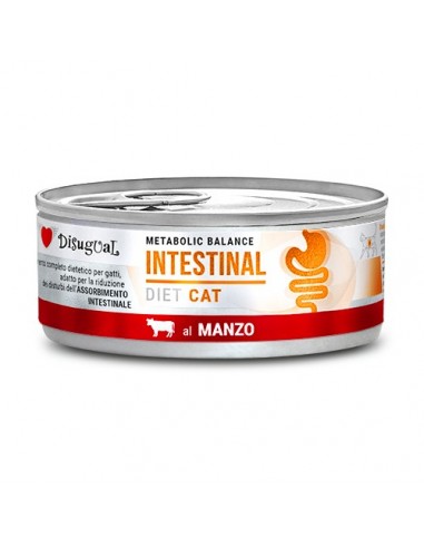 Disugual Diet Gato Intestinal Ternera