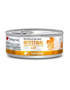 Disugual Diet Gato...