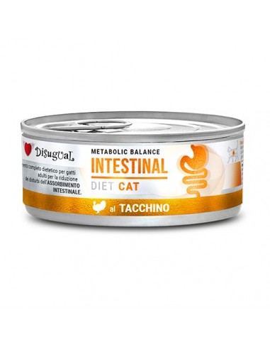 Disugual Diet Gato Intestinal Pavo