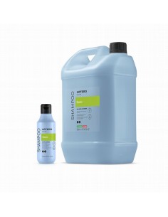 Artero Champú Basic