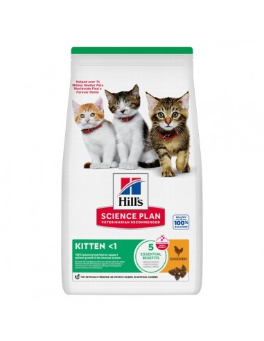 Hill's Science Plan Feline Kitten Pollo