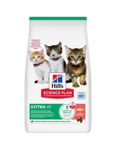 Hill's Science Plan Feline Kitten Salmón