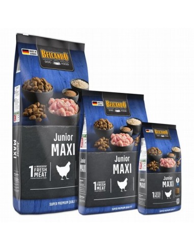 Belcando Junior Maxi