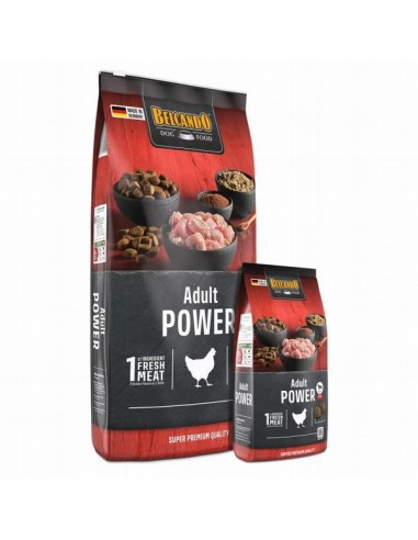 Belcando Adult Power