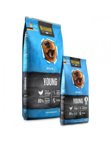 Belcando Baseline Young