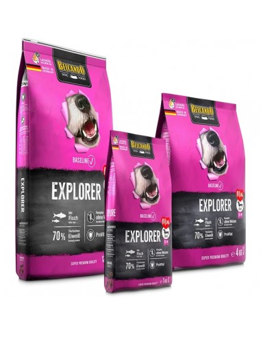 Belcando Baseline Explorer
