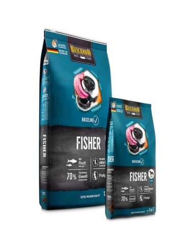 Belcando Baseline Fisher