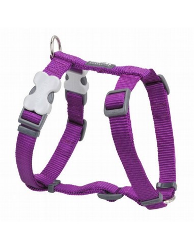 Red Dingo Perro Petral Liso Morado