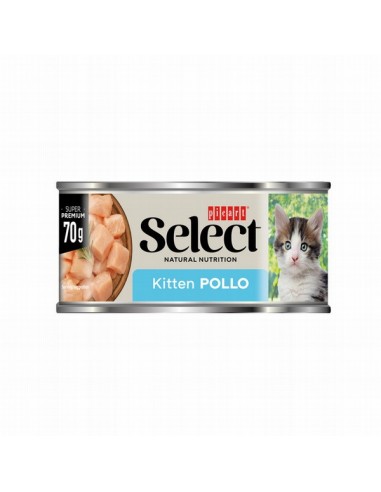 Picart Select Gato Kitten Pollo Lata