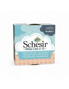 Schesir Gato Kitten Atun...