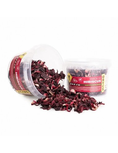 Orycs Snack Hibiscus