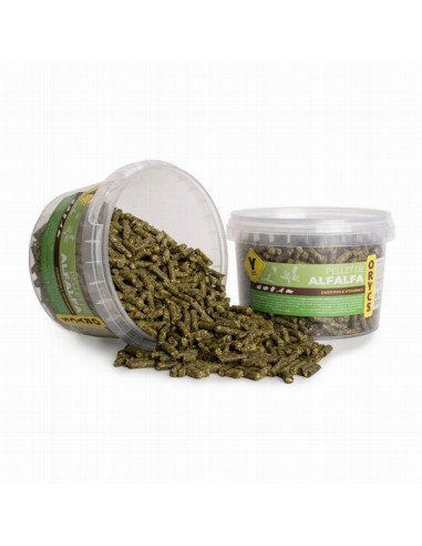 Orycs Snack Pellet de Alfalfa