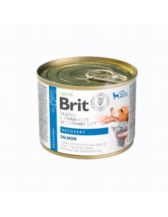 Brit Perro Gato Veterinary... 2