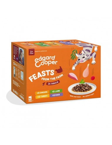 Edgard Cooper Gato Multipack Festin...