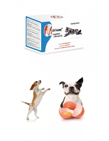 Movinem, Flexibilidad y Movimiento