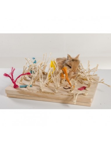 Cunipic Cuni Alfombra Mágica de Juegos