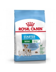 Royal Canin Mini Starter Mother & Babydog