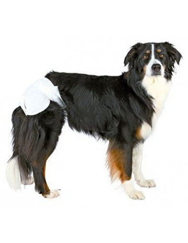 Pañales para Hembras Pañales para Hembras