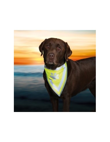 Pañuelo Reflectante de seguridad para cuello