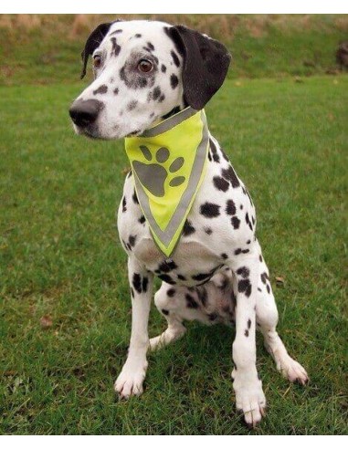 Pañuelo Reflectante de seguridad para cuello