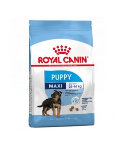 Royal Canin Maxi Puppy / Junior