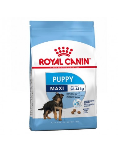 Royal Canin Maxi Puppy / Junior