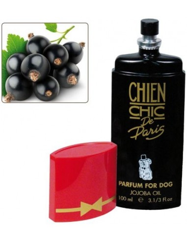 Perfume Chien Chic Fresa