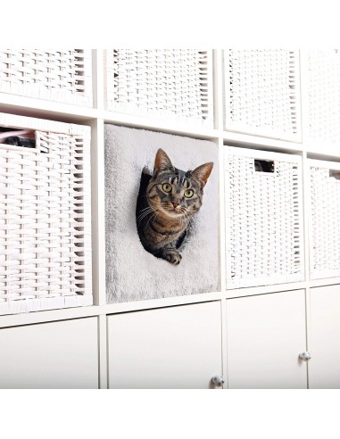 Cueva Suave Cueva Suave