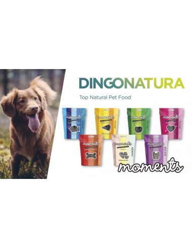 Snacks Moments Multifrutas