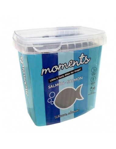 Moments Dog Barritas Salmón