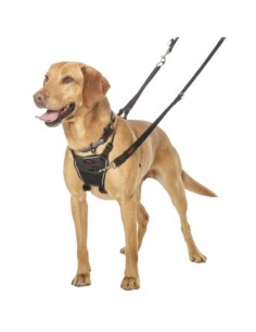 Halti No Pull Arnes de Adiestramiento 2