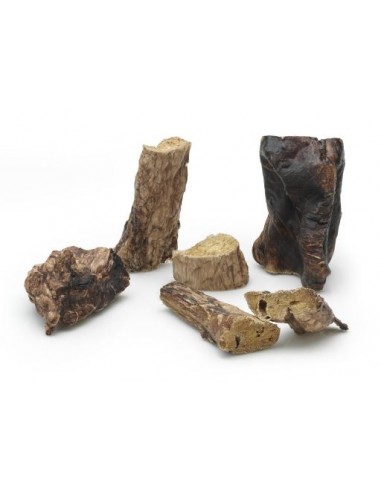 Arquivet Pulmón de Ternera