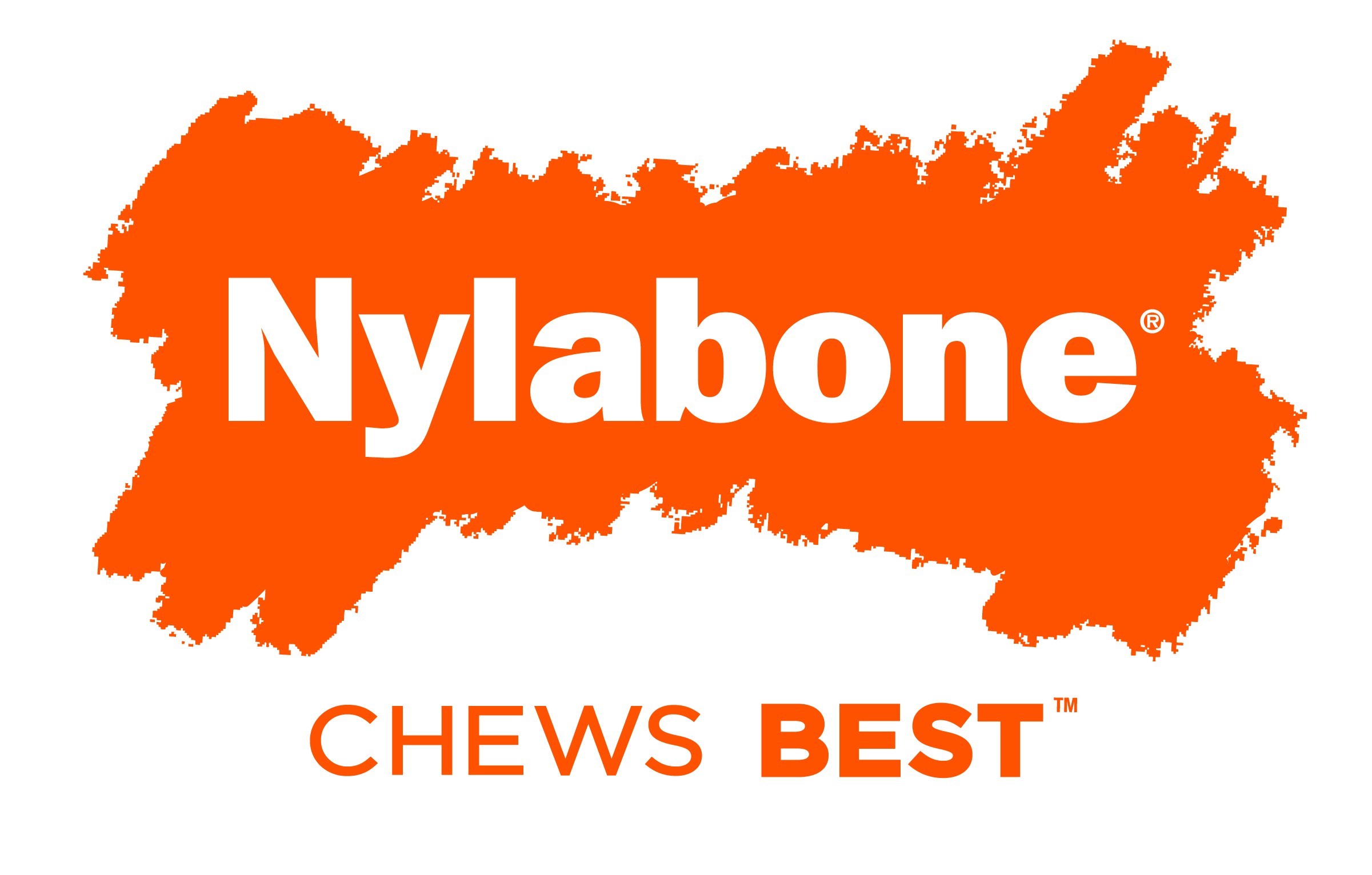 Nylabone